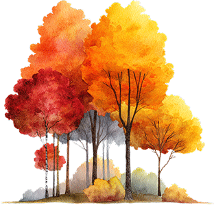 Fall trees